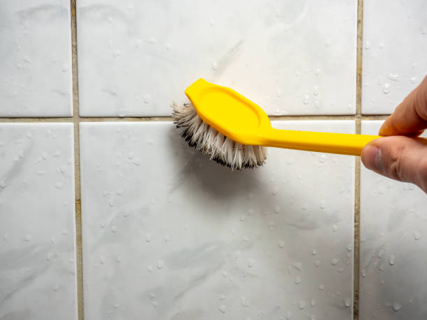 Office Mold Removal Services in Princeton, WI