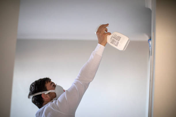 Best Fast Mold Removal  in Princeton, WI