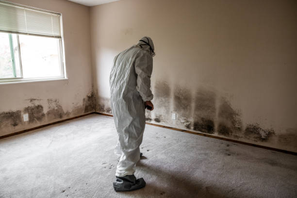 Water Damage Restoration in Princeton, WI