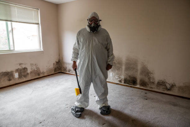 Best Mold Removal and Inspection  in Princeton, WI